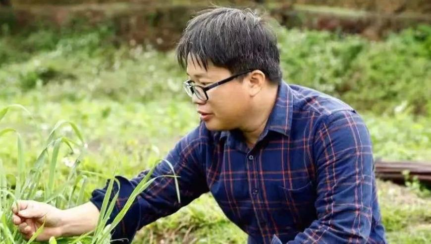 抢跑式开学折射的是应试焦虑,2025管家婆精准资料大,多元化方案执行策略_优选版V7.99