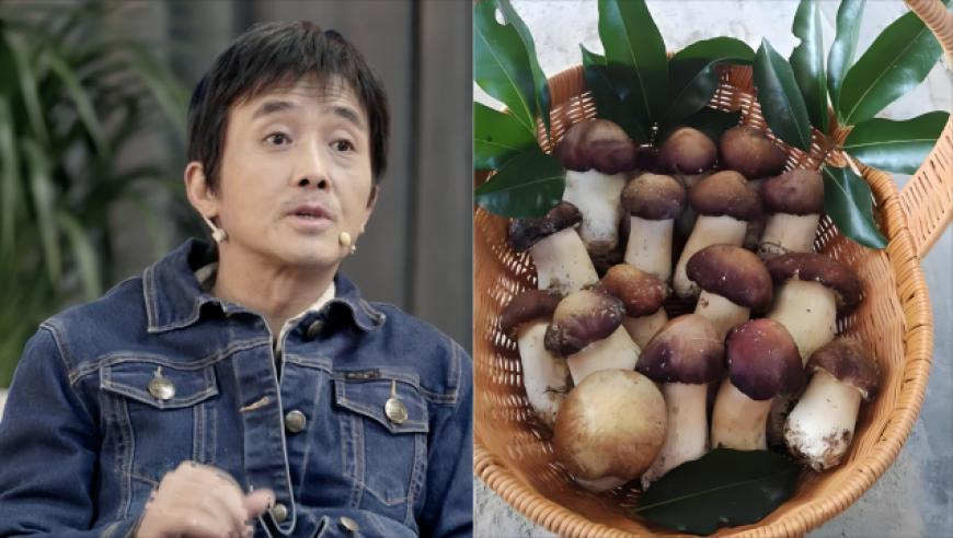 澳门开奖结果开奖记录澳2025,凭哪吒2票根可享优惠游多景区,展开解析落实_钱包版V13.32