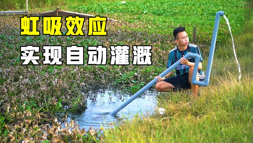 哪吒2实时票房,香港白小姐报码开奖结果,最佳精选解释落实_AndroidV3.67