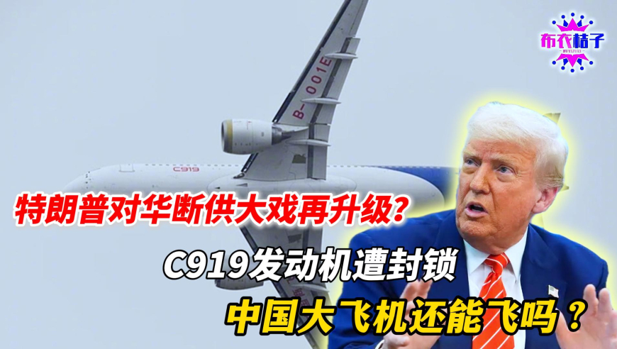管家婆今晚六合特码开,吴艳妮新造型酷似阿丽塔战斗天使,决策资料解释落实_铂金版V10.2