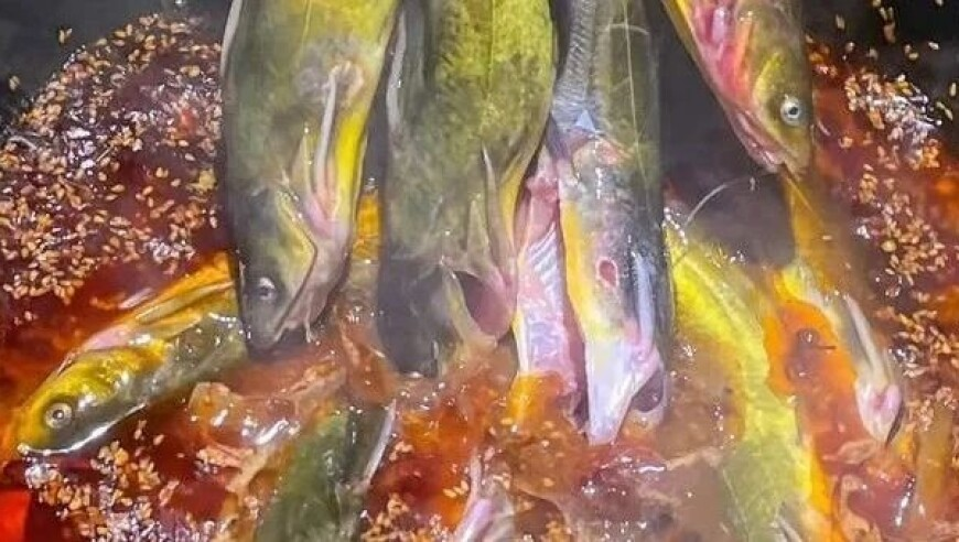 9944cc天下彩线路入口特料,多家影院回应儿童观影免票,整体规划执行讲解_VR版V5.58