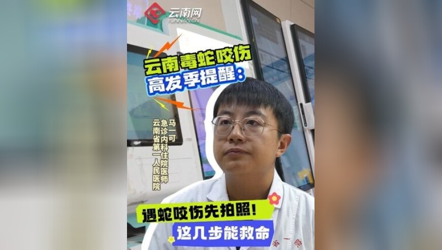 杰森斯坦森新片爽到想二刷,123澳门六网站资料免费,决策资料解释落实_扩展版V14.41